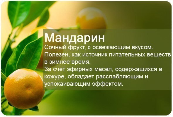 мандарин.jpg