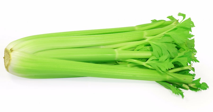 Celery-8.jpg