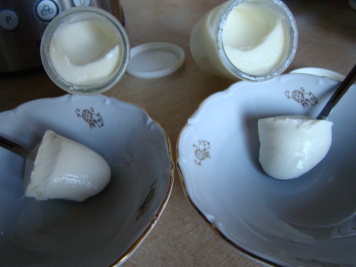 DSC07070.JPG