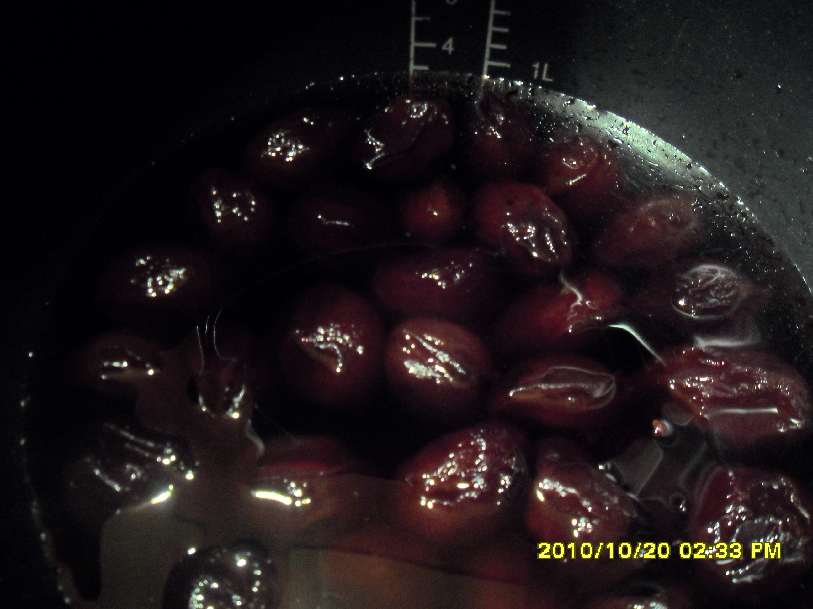 SDC12082.JPG