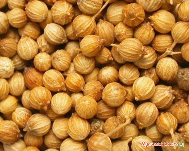 Coriander Seeds.jpg