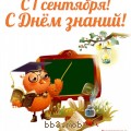 image.jpeg