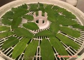 IMG_3423.JPG