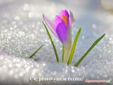 EC3B1FDB-9581-4B33-A6D1-488C360686AC.jpeg