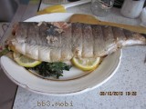 IMG_2417.JPG